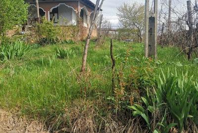 Vand casa batraneasca - 2