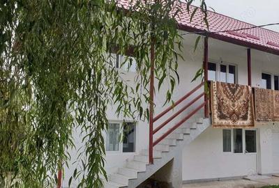 Vanzare casa+teren Valea Brazilor, Baiculesti, AG - 2