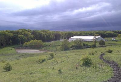 Ferma Zootehnica la standarde Europene - 6