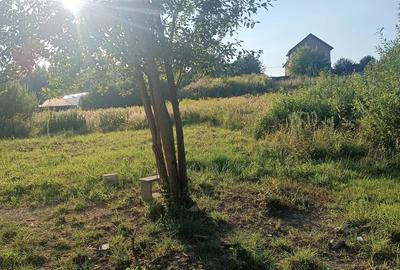 Casa de vanzare reghin - 5