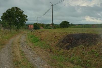 Spațiu comercial, în Răchita - 11