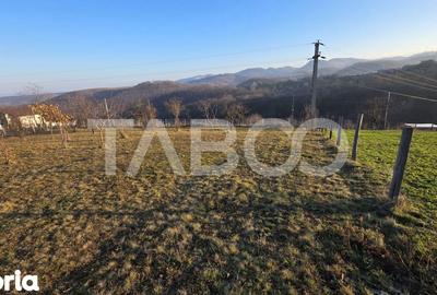 Teren de 1974 mp, în Săsciori - 2