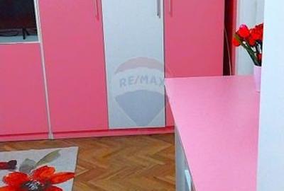 Apartament cu 2 camere de vanzare in zona 1 Mai Insula - 11