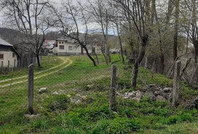 Casa de vanzare Domnesti Arges - 8