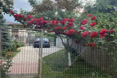 Casă cu 5 camere cu Teren 1097 Mp în Mogoșoaia - 27