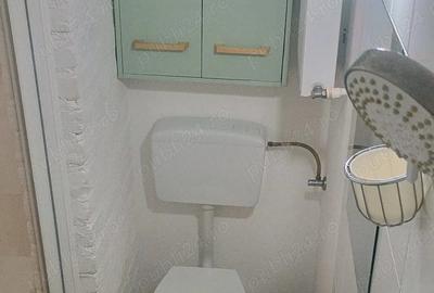 Dr.Felix Titulescu BanuManta Victoriei Parter21mp Camera+chicineta+GrSanitar CurteComuna Proprietar - 5