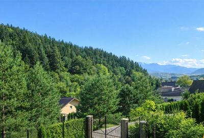 Resedinta cu atmosfera familiara,peisaj imersiv,amplasare pr - 15