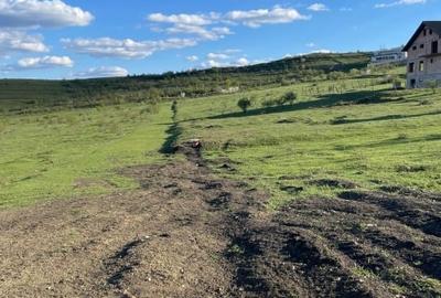 Teren Construcții intravilan de 600 mp, în Vulcan - 4