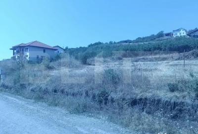 Teren de 1000 mp, în Central - 3