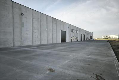 Spațiu comercial, de 523 mp, în Sânandrei - 6