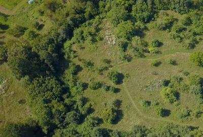 Spațiu comercial, în Dănești - 2