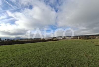 Teren intravilan de vanzare in Rasinari zona Calinis - 890 mp - 1