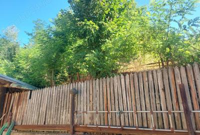 Casă cu 6 camere în Măgureni