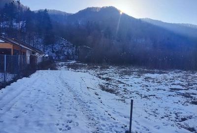 Teren de 4600 mp, în Agârcia - 4