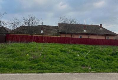 Spațiu comercial, în Borcea - 3