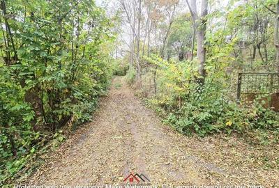 Teren intravilan in Provita de Jos 14.340 mp-- 90.000 e Teren intravilan in Provita de Jos 14.340 mp-- 90.000 e - 8