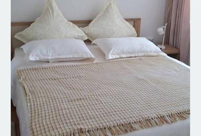 Apartament cu 2 camere în Central - 2