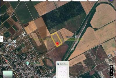 Teren de 26715 mp, în Mogoșoaia - 3