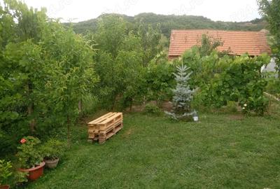 Casă cu 3 camere în Amnaș - 6