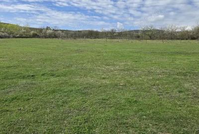 Teren pretabil pentru constructie casa, situat in Deva, zona Licee, statie meteo. - 1