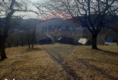 Teren de 10279 mp, în Bran - 8
