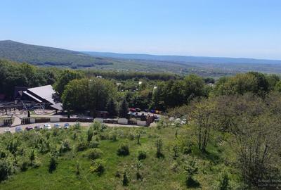 Teren de Vanzare 850 mp | Petrarie Burnova | Zona Ve - 4