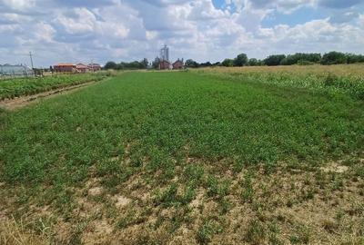 Teren de 1000 mp, în Șag - 3