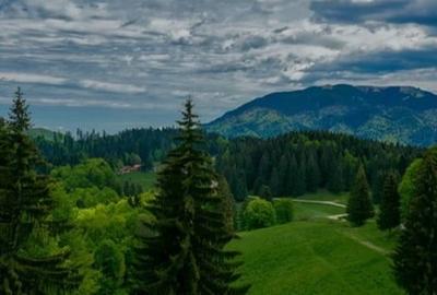 SUPERB Teren  intravilan de 2350mp  in Poiana Mica Brasov