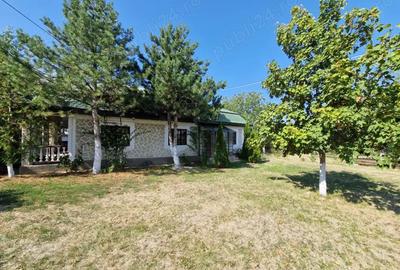 Casă cu 6 camere cu Teren 3000 Mp în Ruginești - 1