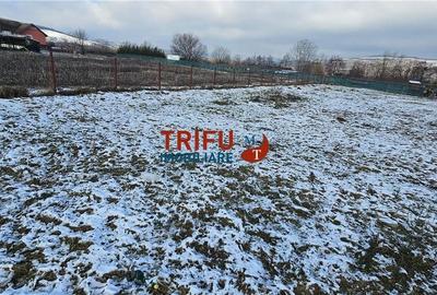 Spațiu comercial, în Micești - 3