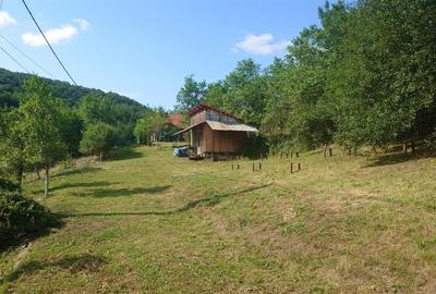 Cabana, anexe si 2000 mp teren intravilan in Taratel, Brad - 10