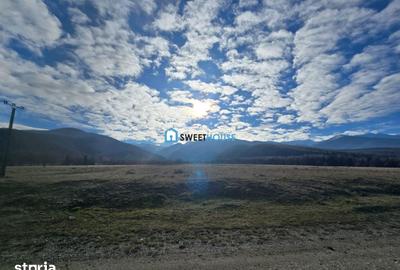 Teren de 22790 mp, în Recea - 12