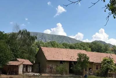 Casă cu Teren 1687 Mp în Colțești - 5