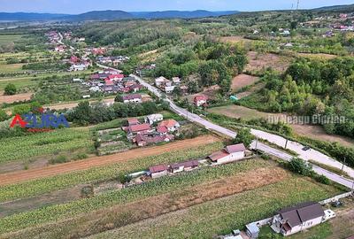 AZURA Imobiliare - Teren Budeasa Galasesti Calotesti - 4