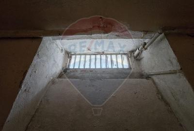 DE VANZARE Casa / Vila cu 11 camere de vanzare in zona Parcul Carol - 53