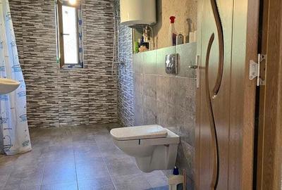 Casă cu 5 camere cu Teren 2763 Mp în Băița - 12