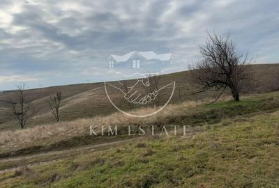 De vanzare teren extravilan  1 ha -Sibioara,Lumina - 3