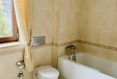 Vilă individuala, Iancu Nicolae – ansamblu exclusivist, curte 400 mp Vilă individuala, Iancu Nicolae – ansamblu exclusivist, curte 400 mp - 12