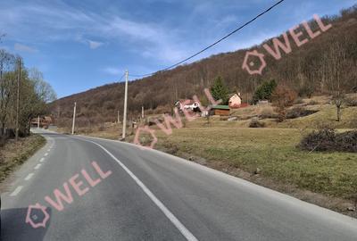 Teren Construcții intravilan de 3000 mp, în Exterior Est - 6