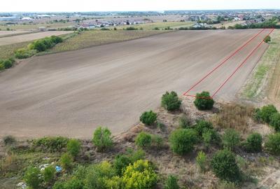 Darza, teren intravilan 6.000 mp, 13 euro/mp deal pentru case, ferma, productie - 3