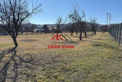 Casă cu Teren 1306 Mp în Central - 16