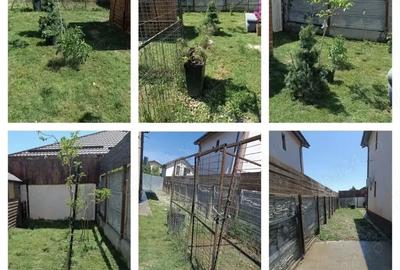 Casă cu 3 camere cu Teren 200 Mp în Berceni - 5