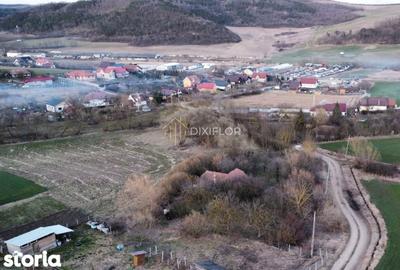 Teren de 11600 mp, în Ceuaș - 4