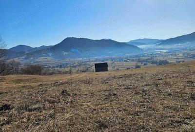 Teren extravilan de vanzare in Bucovina zona Frasin - 3