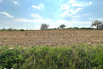 Teren de 5200 mp, în Sânmartin - 2