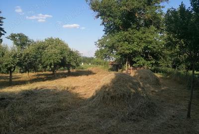 Casa cu teren de vanzare - sat PE?TEANA - 5