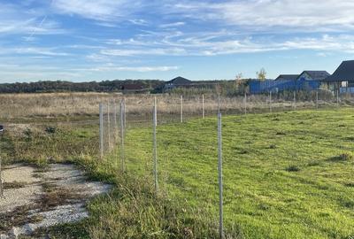 Domnesti, padurea Teghes - 6