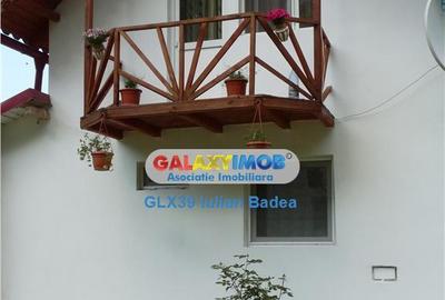 Pensiune de zona Voineasa - jud. Valcea - 6