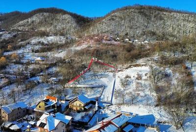 Teren de 2868 mp, în Săsar - 9