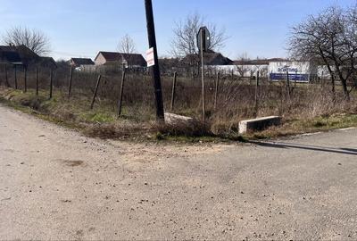 Spațiu comercial, în Borș